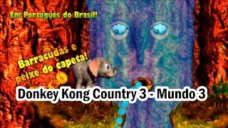 Zerando Donkey Kong Country 3 em Portugu&ecirc;s e Coletando Tudo - Parte 3