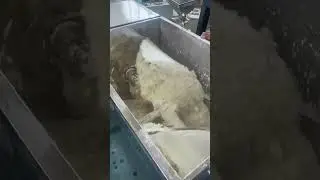 Milk powder horizontal mixer