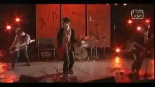 THE UNIQUE STAR / 不敵な笑みを浮かべる日