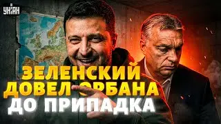 Зеленский РАЗДАЛ подзатыльники в Давосе и СОРВАЛ ОВАЦИИ! Орбан аж побледнел. СМОТРИТЕ как это было