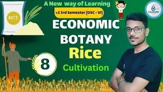 Cultivation of Rice || Economic Botany || DSC Paper - 6 || Lecture - 08