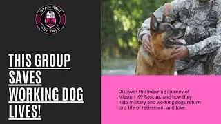 Bringing Our Canine Heroes Home: The Mission K9 Rescue Story