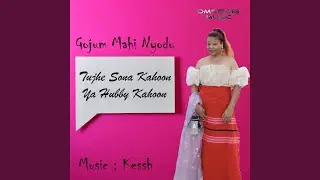Tujhe Sona Kahoon Ya Hubby Kahoon
