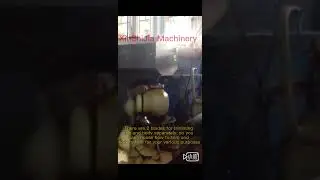 Professional automatic coconut cutting machine