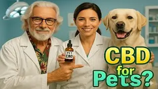 🐶🐱 Is CBD Safe for Your Dog or Cat? ⚠️🌿 What Every Pet Owner Should Know 🧠❤️