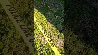 The Dark Reality of Modern Law Enforcement