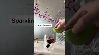 Summer Cocktail Recipes &mdash; Blackberry White Wine Spritzer