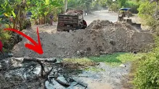 Clean buried trash in the pond and tree stump.