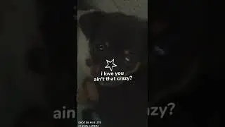 se va a llamar luna (espero que nena no le muerda)