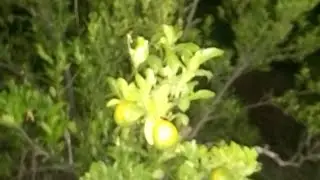 I see a snake!!!! ADVENTURE NATURE OUTDOORS CAMPING FISHING HUNTING