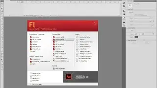 Adobe Flash Game - Episode 1
