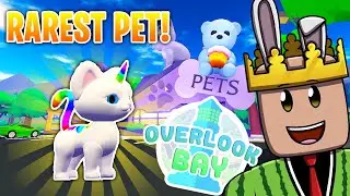MY FIRST LEGENDARY PET IN OVERLOOK BAY