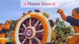 Annual Flower Show 2026🤗🌸🤗#like#vlog#bhubneshwar