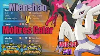 MIENSHAO Y MOLTRES GALAR SON MEJORES DE LO QUE PARECE | VGC 24 #11 | POKÉMON ESCARLATA Y PÚRPURA
