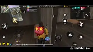 Live streaming of ZX Legend boy