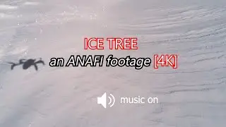 ANAFI &raquo; 4K VIdeo Footage