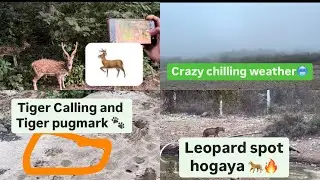 Leopard spotted in Jhirna zone | Tiger Pugmarks in Jhirna Jim Corbett | Ak the pathfinder vlogs8