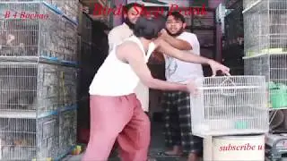 Birds Shop Prank by Nadir Ali 2018