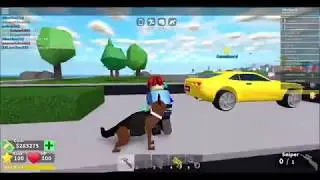 Mad City, police dogs showcase!