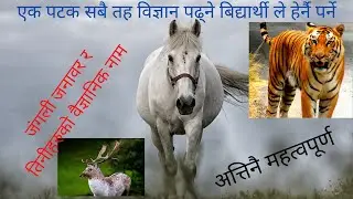 Must important  50 above scientific name of Wild Animals -| Revive Info
