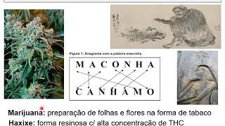 O canabidiol no tratamento da doença de Parkinson