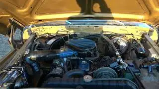 1979 Ford F150