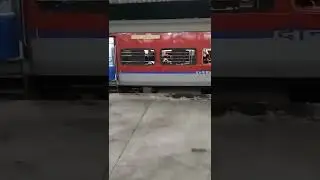 GOAT TRAIN TRANSPORTING