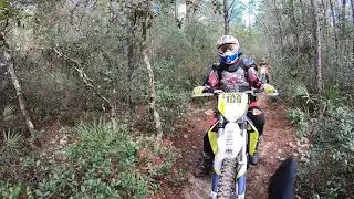 Ocala national forest - motorcycle loop