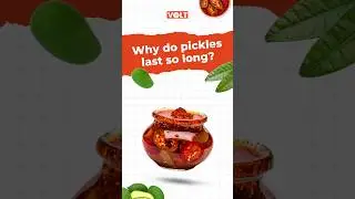 The Science Behind Long-Lasting Pickles #trendingshorts #sciencefacts #pickle