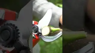 Mini Electric Chain Saw One Hand Woodworking Lithium Battery Pruning Chainsaw Wood Cutter Cordless G