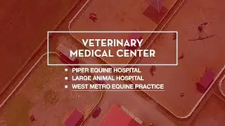 VMC Equine Services Tour