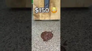 $1 против $10 против $50 против $150 против $800