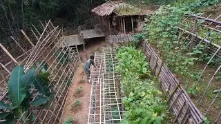 Build a farm deep in the forest. Take care of the vegetable garden, build trellises for tomatoes.