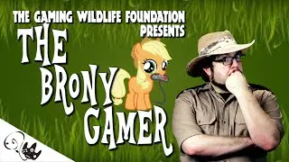The Brony Gamer