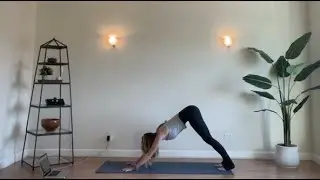 Vinyasa Flow Class with Seal Beach Yoga at Sensui New Beauty