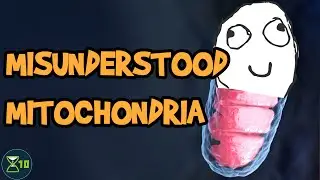 Do Broken Mitochondria Make You Age?