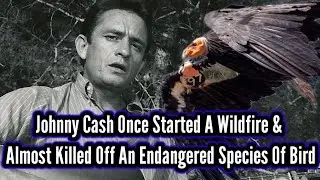 Johnny Cash Once Started A Wildfire & Almost Killed Off An Endangered Species Of Bird