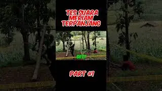 Meriam karbit terpanjang di dunia#shorts
