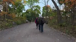 Last walk for fall season???