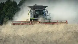 S KOMBAJNEM DO SVĚTA 2 / ŽNĚ 2020 / @CLAAS LEXION 770TT / sestřih / HARVEST 2020 / CZECH REPUBLIC