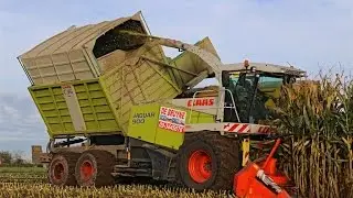 Claas Jaguar 900 Field Shuttle | New Holland T7.210 & T7070 Blue Power
| Part 1 | De Bruyne