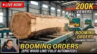 MASSIVE SCALE! 4 High-Speed Automatic Wood Board Manufacturing LIVE