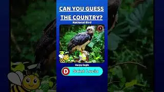 Which country has this National Animal | Short 079 | Can You Guess the Country? | Animal Bird Quiz 🌍
