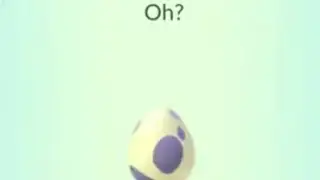10 Km eggs hatching Psychic Spectacular Pokemon Go #shorts