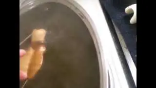 Dyeing a Resin Ball Jointed Doll