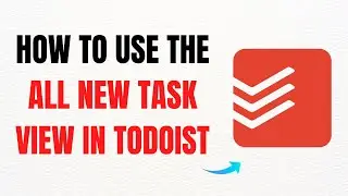 How to Use the All-New Task View in Todoist &ndash; Full Guide