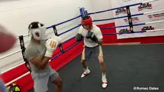 Spare for the Indiana Golden Gloves