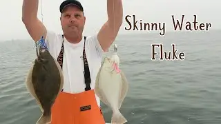 18 Fluke in an hour | Skinny water Summer Flounder