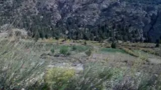 BEAUTY OF ZIARAT PASHTOONISTAN