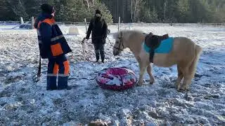 Ванилька и Ватрушка❄️💥